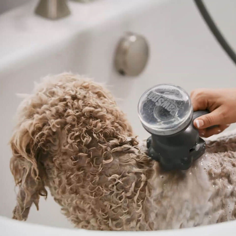 Oxygenics PawSpa Shampooch - Shower Head for dogs -  