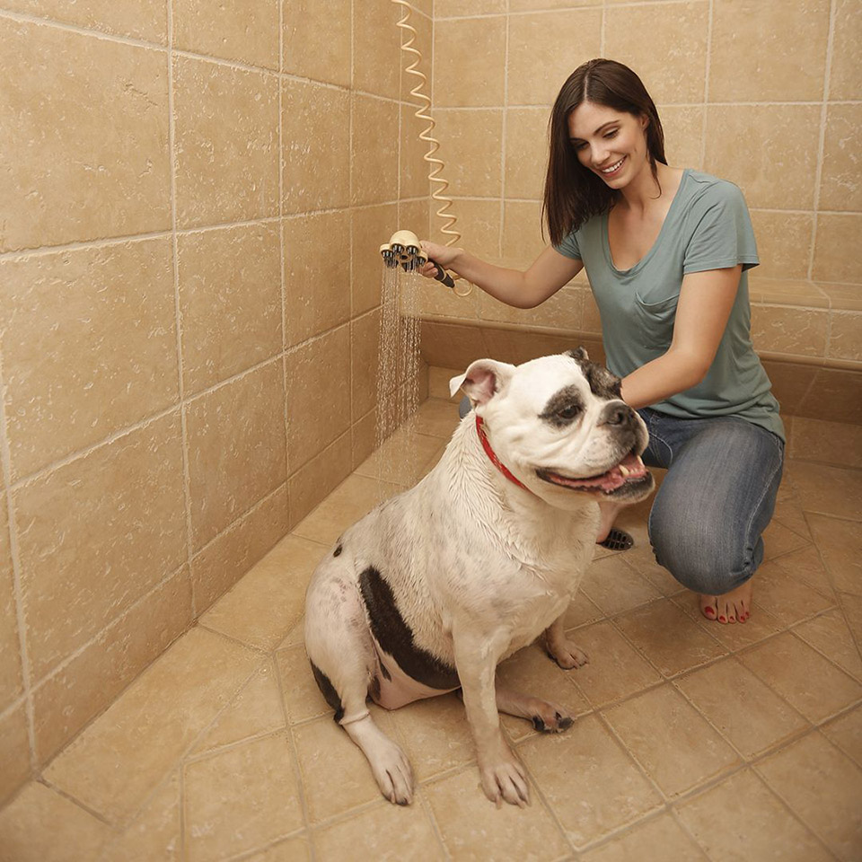 Oxygenics PawSpa PetJet Shower Head - shower head for pets -  